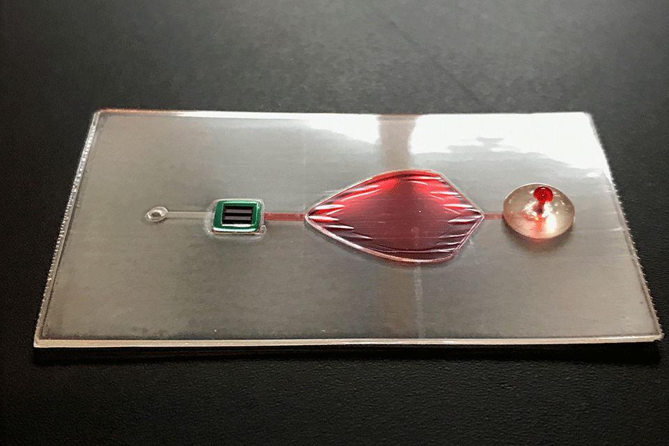 One of the devices designed and fabricated by the team containing a small chip that holds a membrane with a thickness and pore size that is measured in nanometers. 