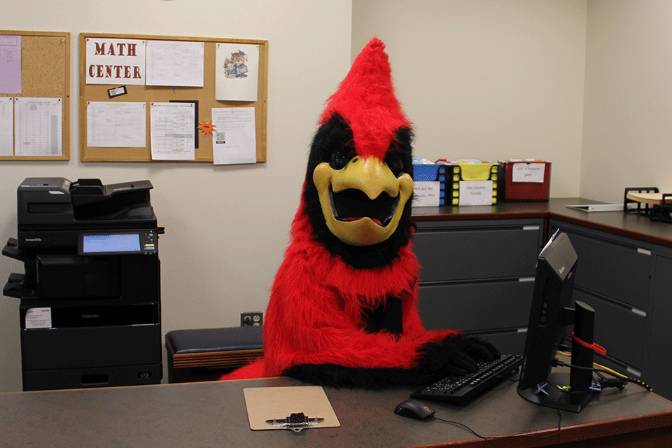 Cardinal works at their desk.