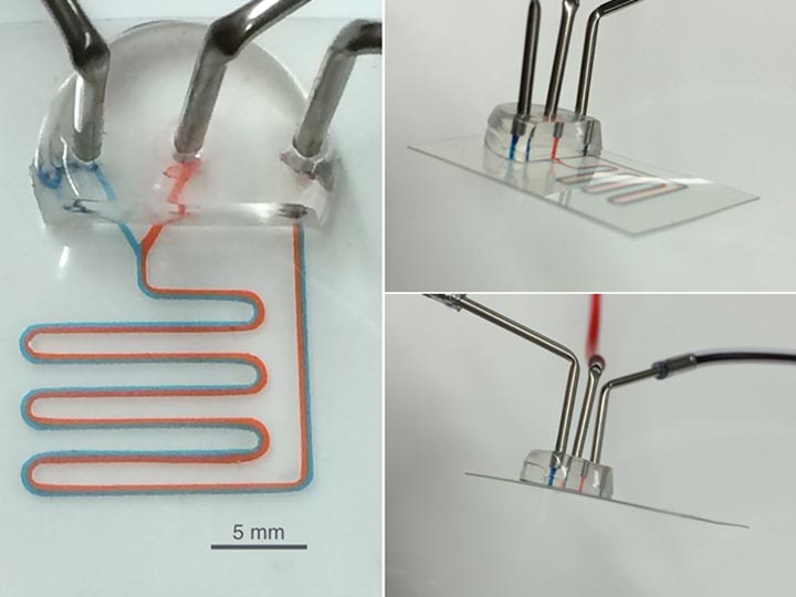 PETLs are microfluidic devices built using laminating materials and a computer-guided craft cutter. Their robustness is comparable to standard PDMS/glass devices in many respects, yet their simplicity makes them ideal for use in a wide range of research laboratories and classrooms at the high school and college level.