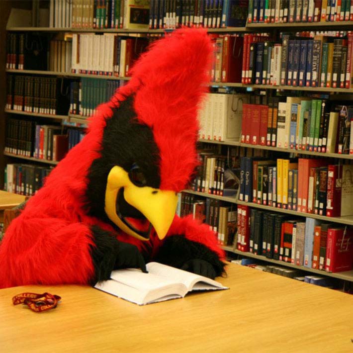 Fisher's Mascot, the Cardinal, studying in the library