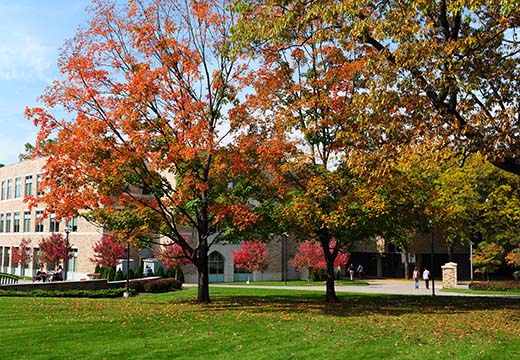 Students walk towards building on fall day.